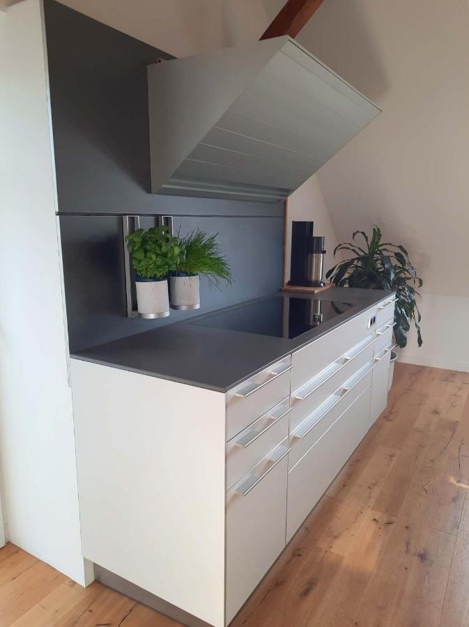 Tremsbüttel Luxurioeses Loft Mit Schoenem Blick מראה חיצוני תמונה